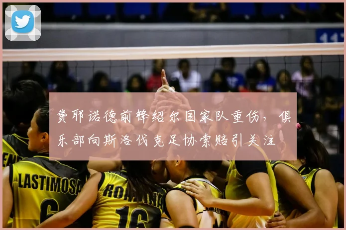 费耶诺德前锋绍尔国家队重伤，俱乐部向斯洛伐克足协索赔引关注