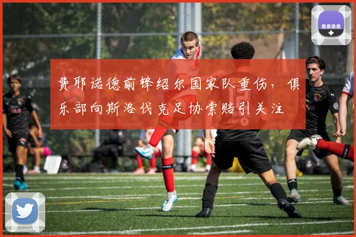 费耶诺德前锋绍尔国家队重伤，俱乐部向斯洛伐克足协索赔引关注